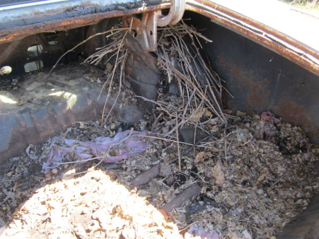 1969 Chevrolet Chevelle Malibu - photo 13