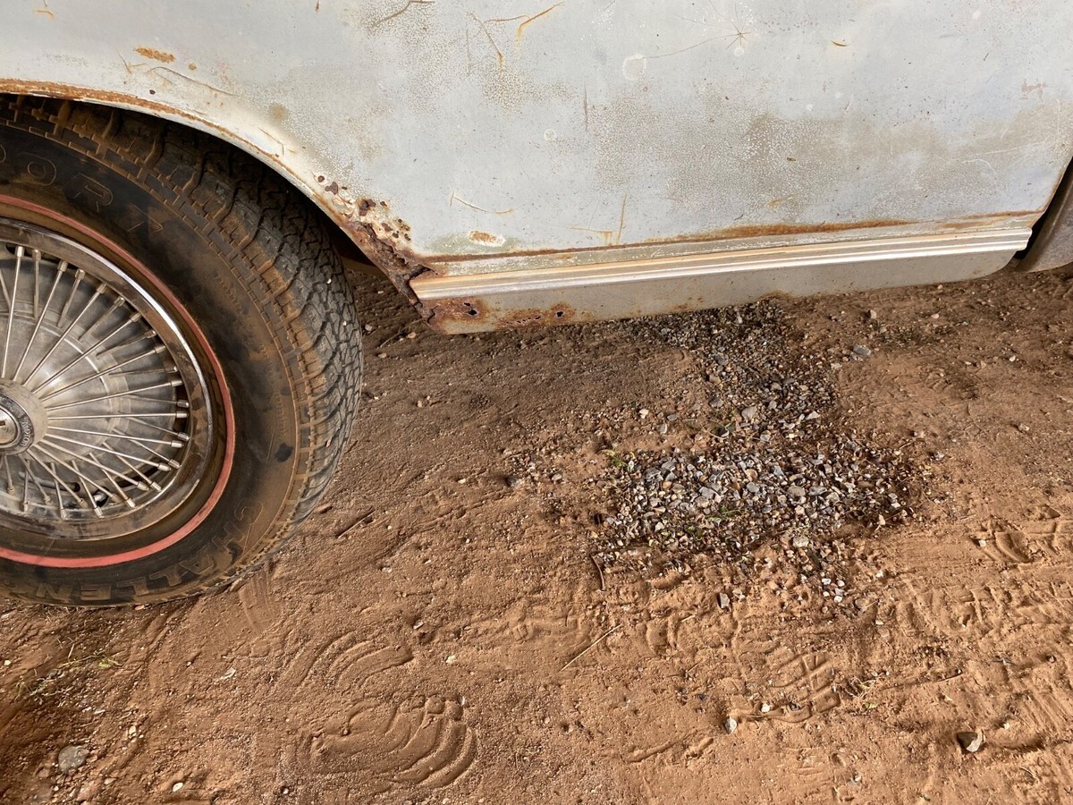 1969 Chevrolet Chevelle - photo 10