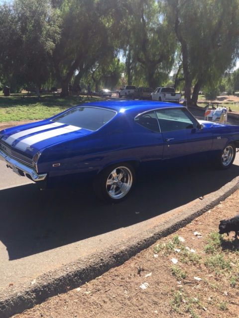 1969 Chevrolet Chevelle SS/TRIBUTE/MALIBU - photo 6
