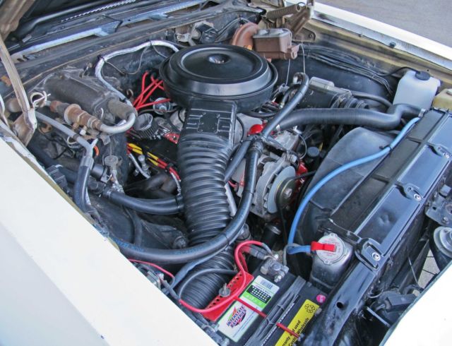 1969 Chevrolet Chevelle Concours - photo 9