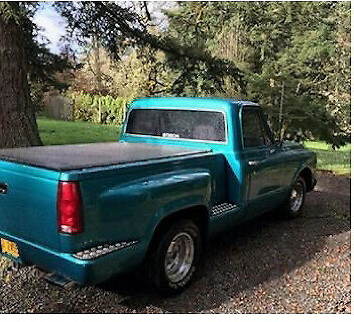 1969 Chevrolet C10 Pickup - photo 5