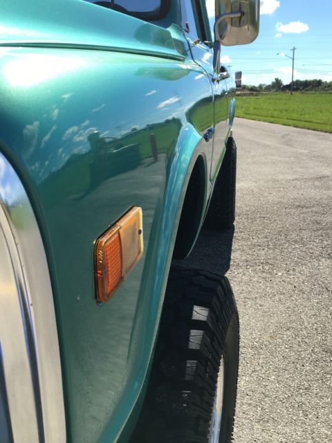 1969 Chevrolet Other Pickups custom - photo 4