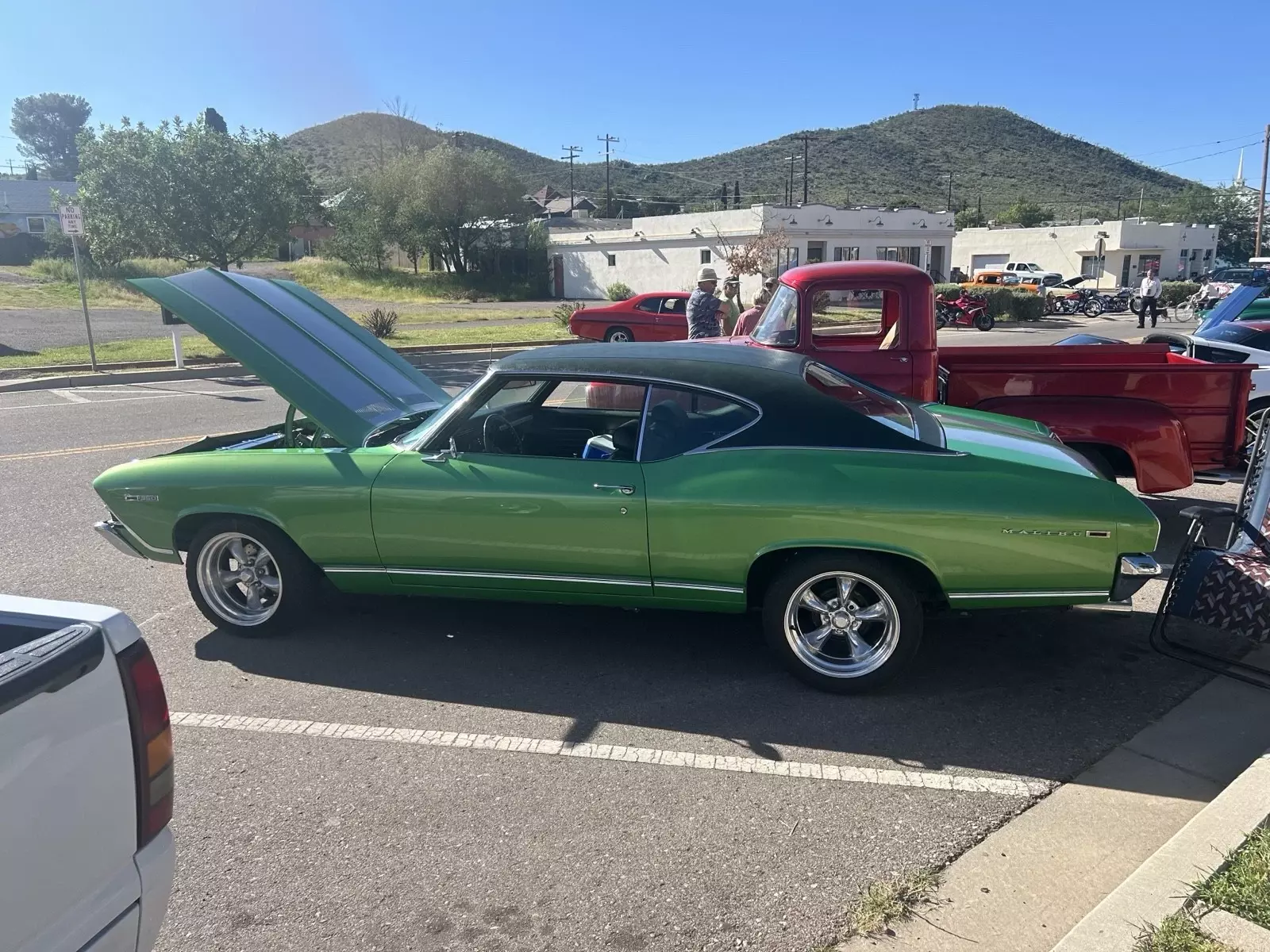 1969 Chevrolet Chevelle Coupe Coupe Green 1969 Chevrolet Chevelle
