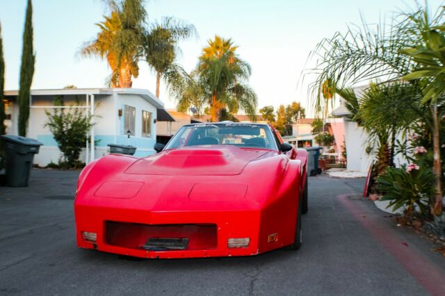 1969 Chevrolet Corvette Terminator - photo 2
