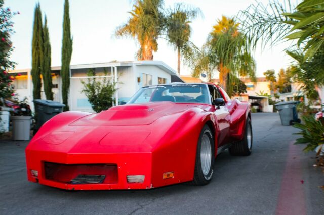 1969 Chevrolet Corvette Terminator - photo 3