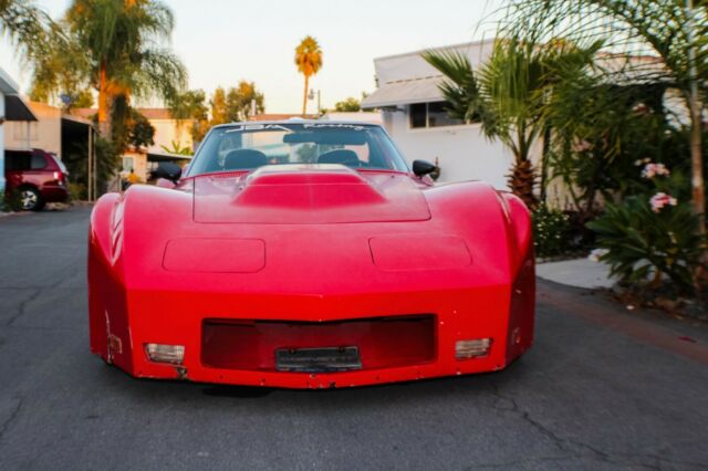 1969 Chevrolet Corvette Terminator - photo 4