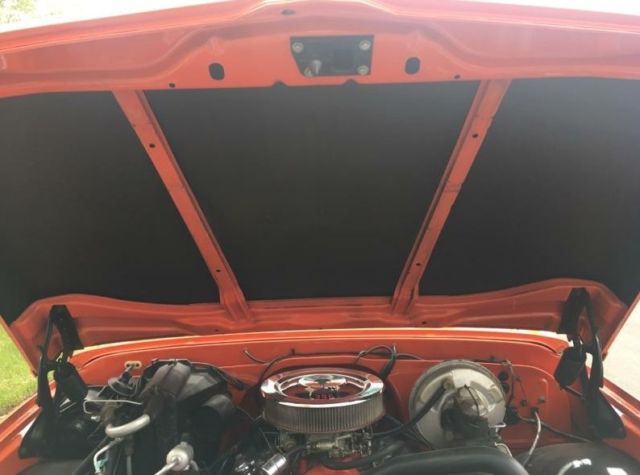 1969 Chevrolet Other Pickups custom - photo 10