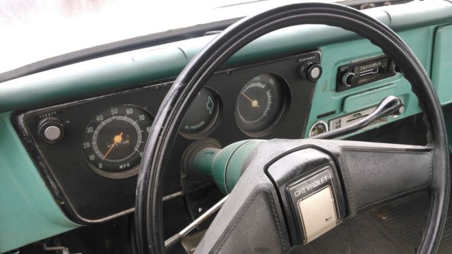 1969 Chevrolet C-10 Cutom Cab - photo 8
