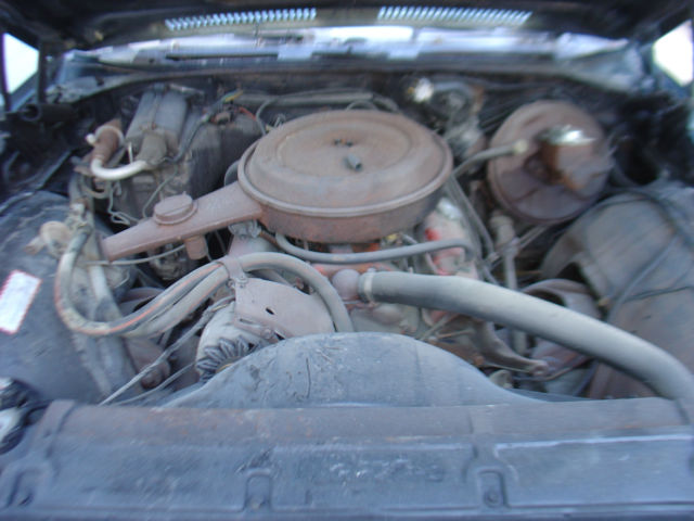 1969 Chevrolet Chevelle Chevelle - photo 12