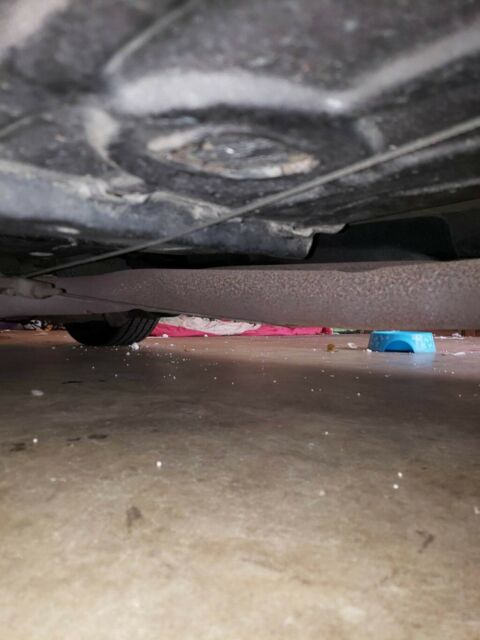 1969 Pontiac Firebird - photo 12