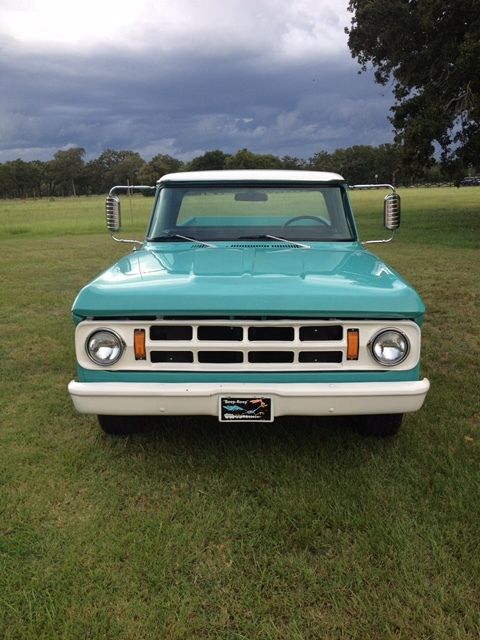 1969 Dodge Other Pickups D-100 Truck - photo 3