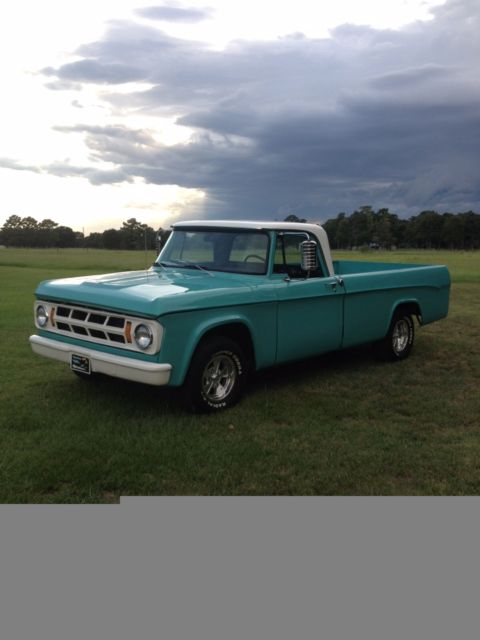 1969 Dodge Other Pickups D-100 Truck - photo 9