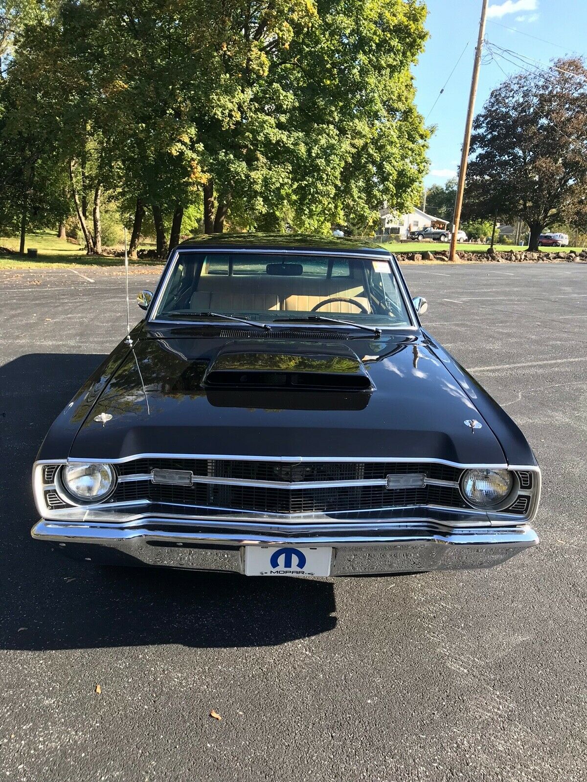 1969 Dodge Dart - photo 11