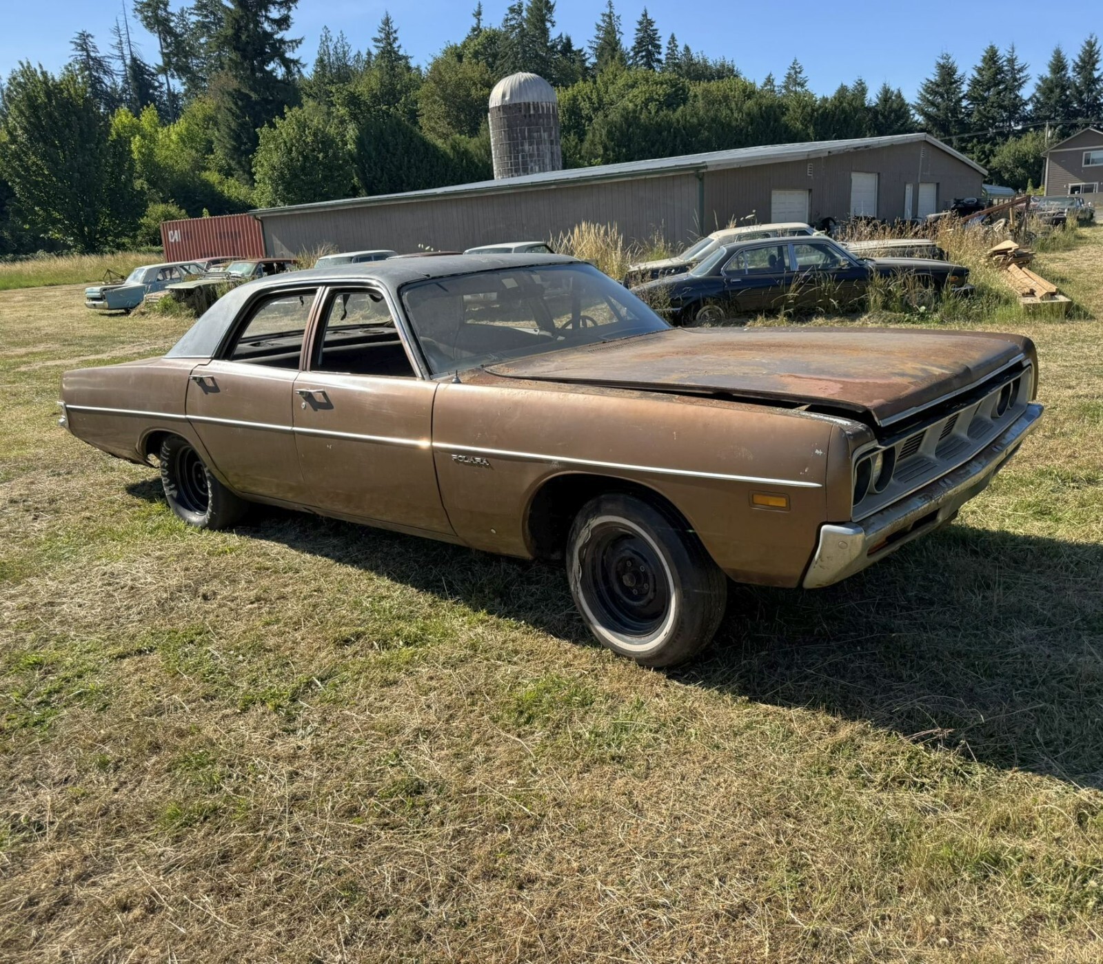 1969 Dodge Polara - photo 2
