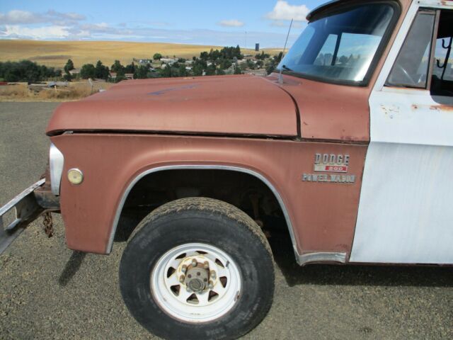 1969 Dodge Power Wagon - photo 3