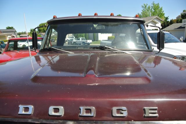 1969 Dodge Power Wagon Camper Special - photo 13