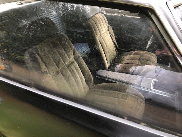 1969 Pontiac Firebird - photo 4