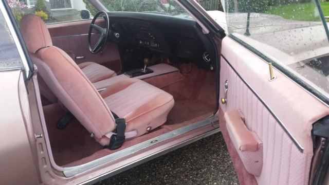 1969 Pontiac Firebird HO - photo 8