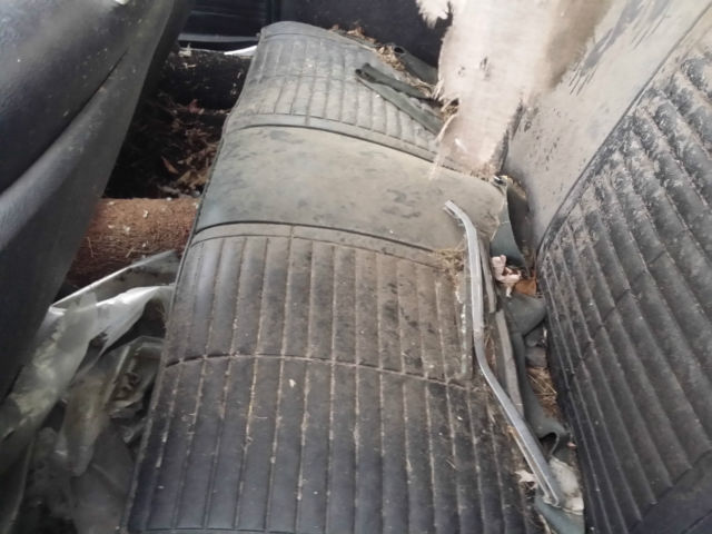 1969 Pontiac Firebird - photo 9