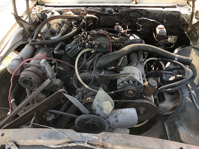 1969 Pontiac Firebird - photo 8