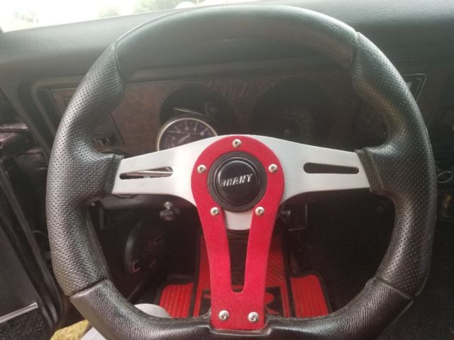 1969 Pontiac Firebird Deluxe - photo 12