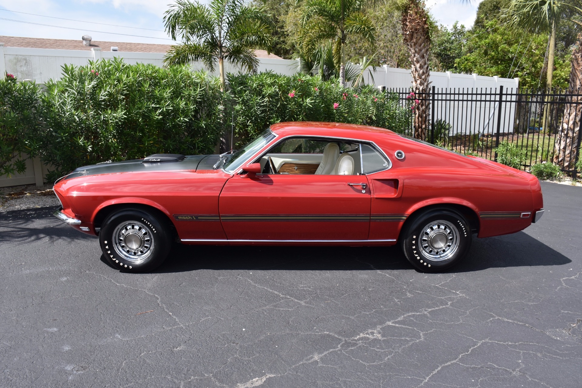 1969 Ford Mustang Mach 1 - 428 Cobra Jet - photo 2
