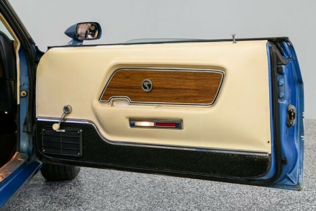 1969 Ford Mustang Shelby GT350 - photo 12