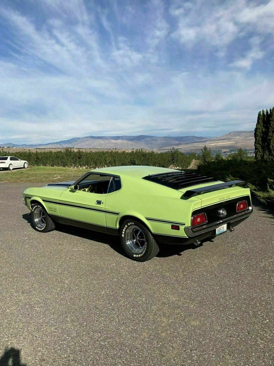 1969 Ford Mustang - photo 5