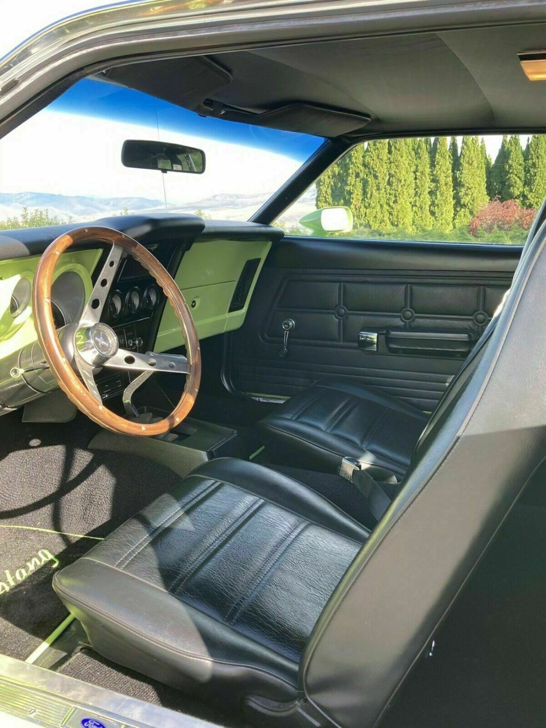 1969 Ford Mustang - photo 8