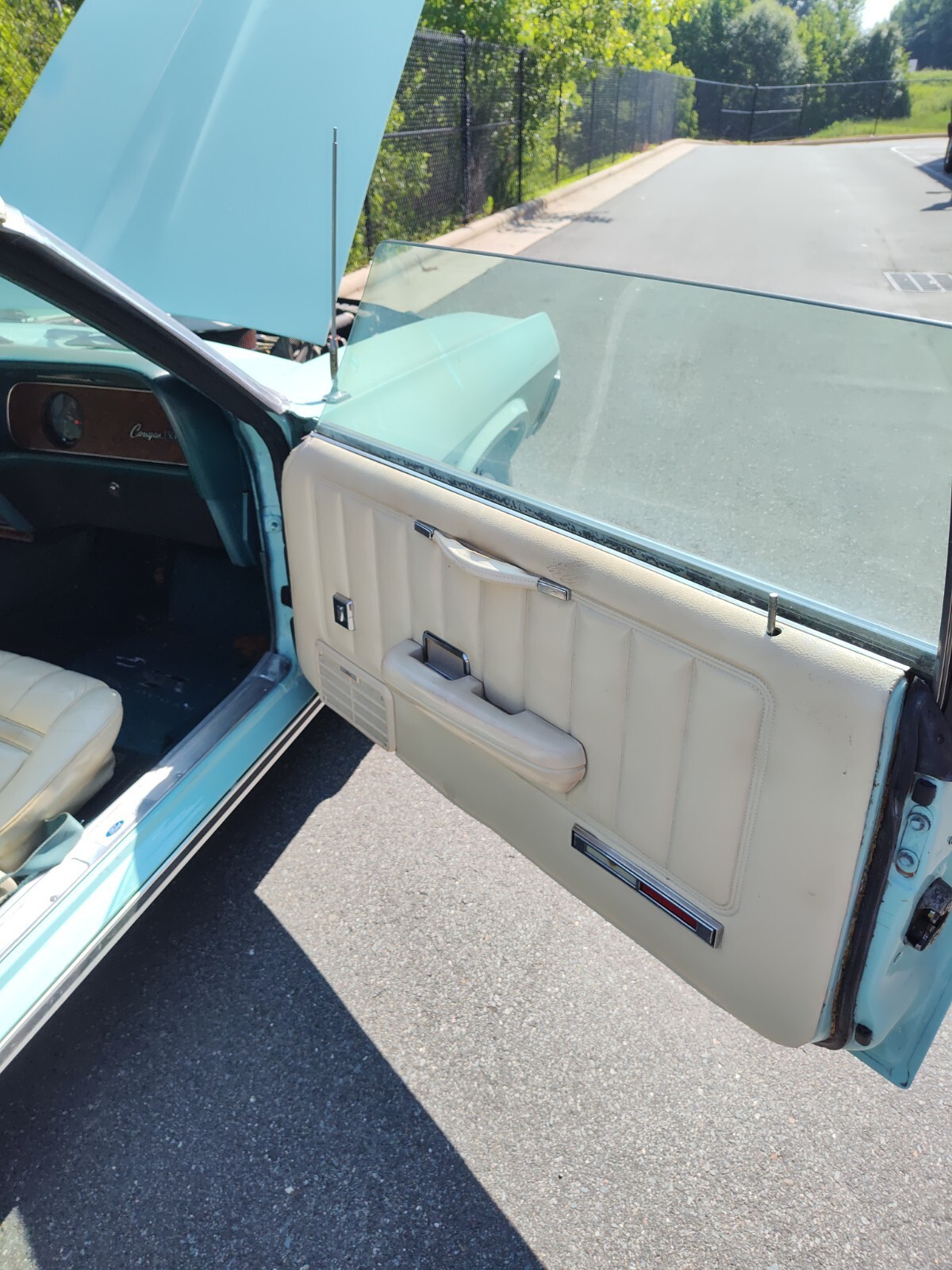 1969 Mercury Cougar XR7 Trim - photo 11