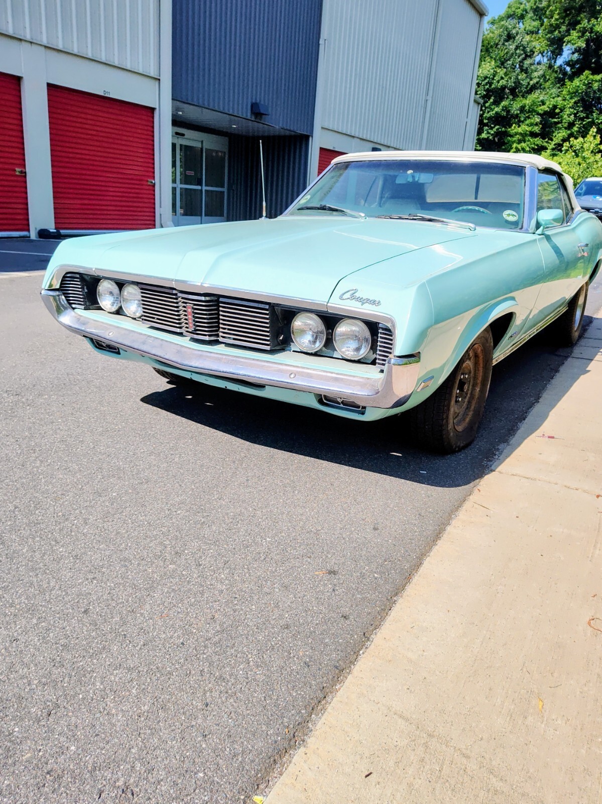 1969 Mercury Cougar XR7 Trim - photo 2