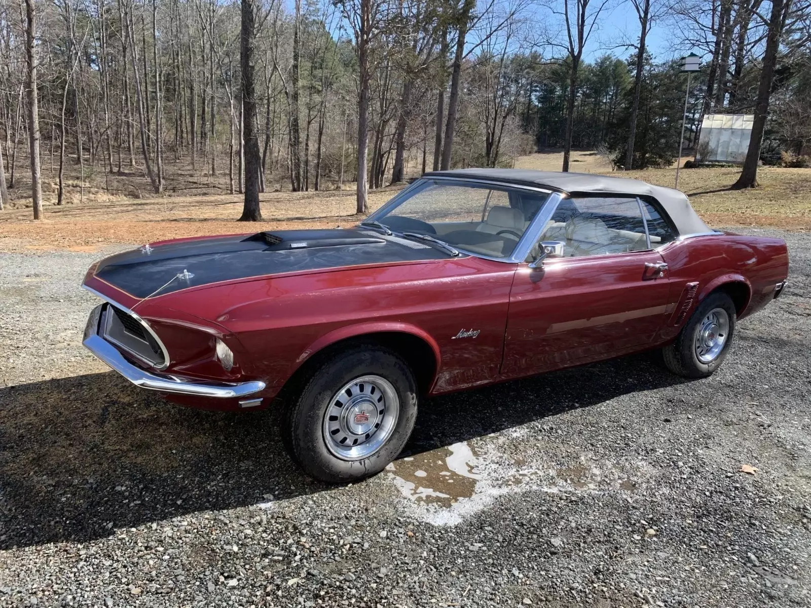 1969 mustang convertible GT 1969 Ford Mustang