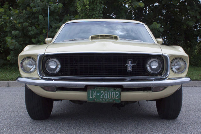 1969 Ford Mustang SPORTS APPEARANCE GROUP - photo 6