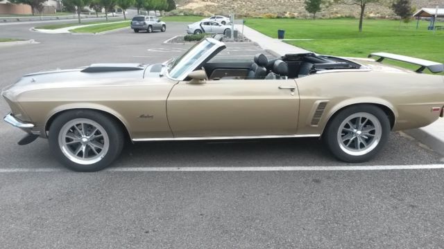 1969 Ford Mustang GT Tribute Custom - photo 3