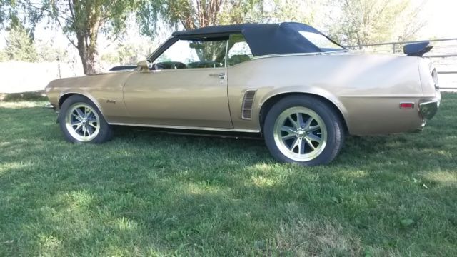 1969 Ford Mustang GT Tribute Custom - photo 8