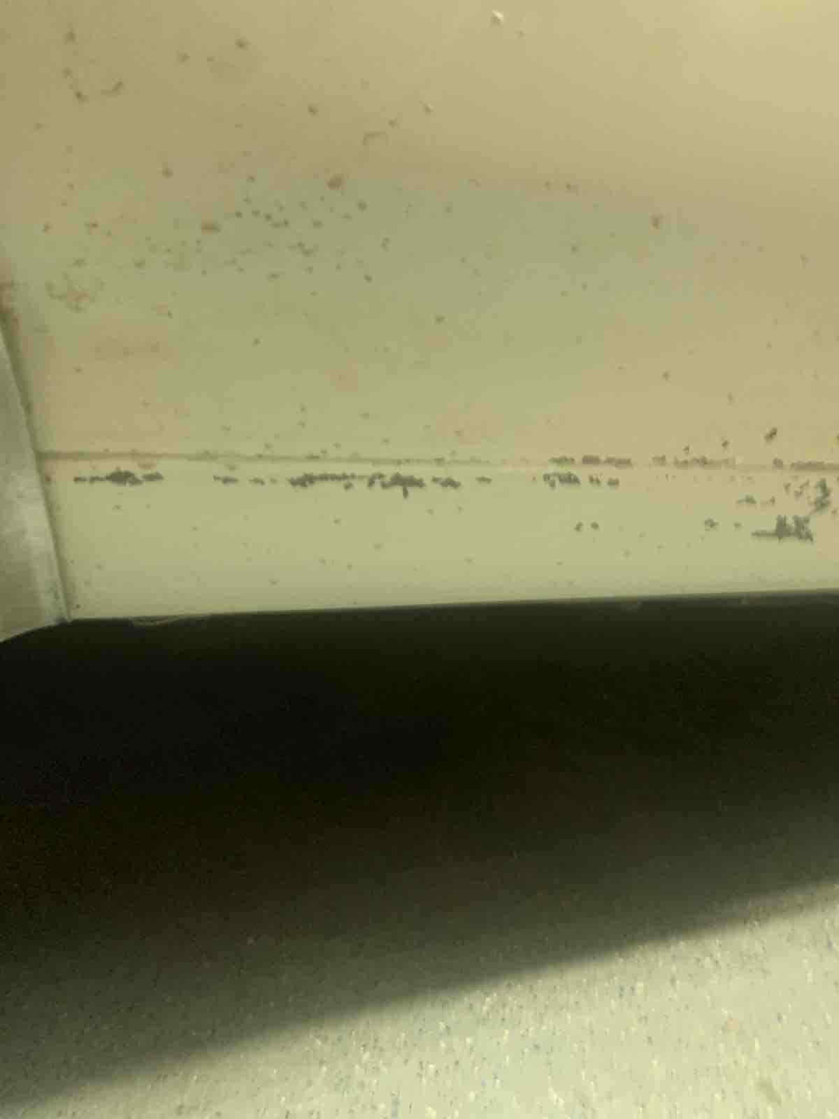 1969 Oldsmobile 442 - photo 11