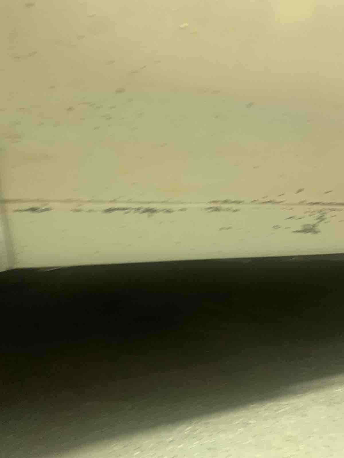 1969 Oldsmobile 442 - photo 12