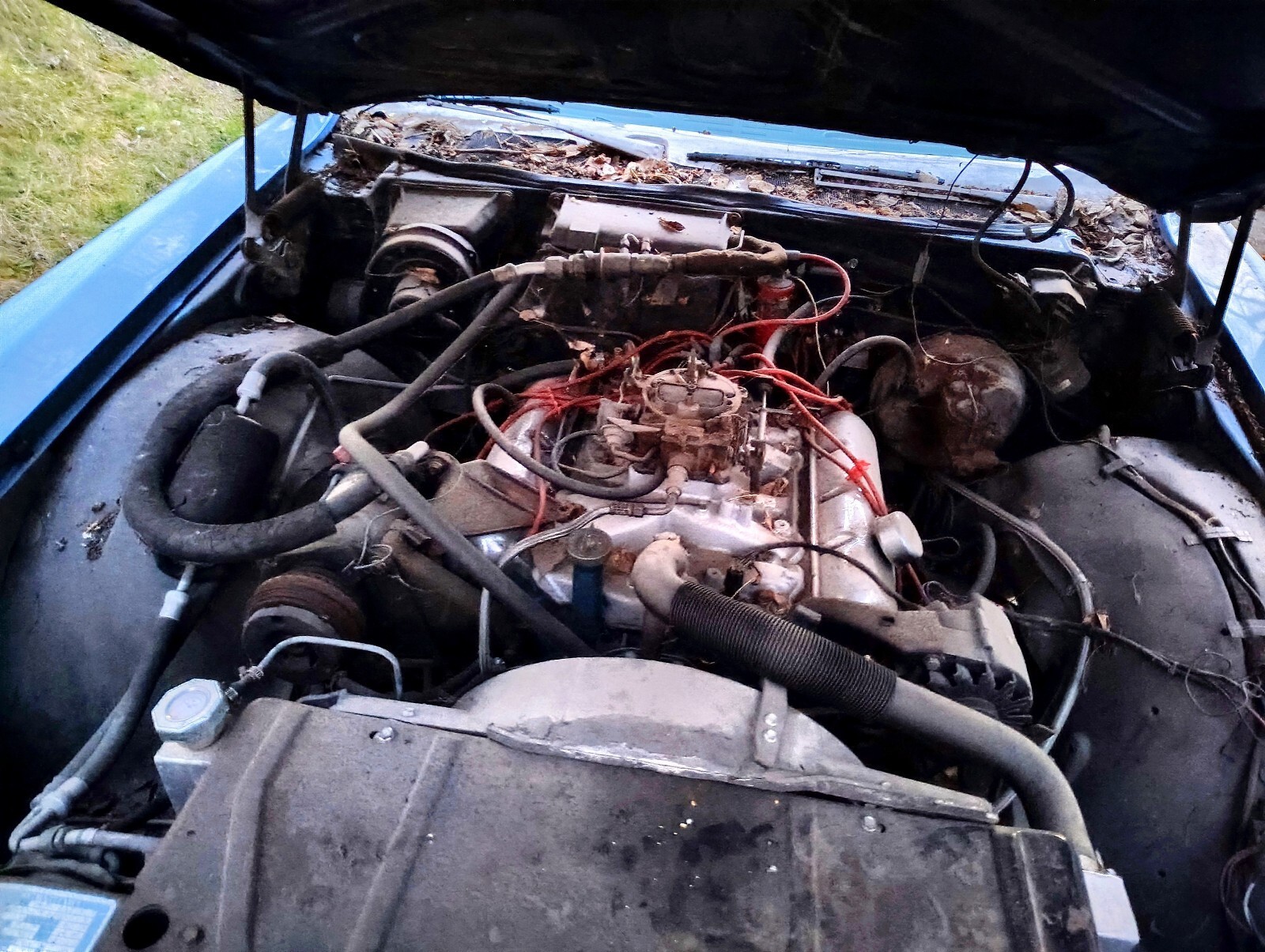 1969 Dodge Delta 88 Custom - photo 12