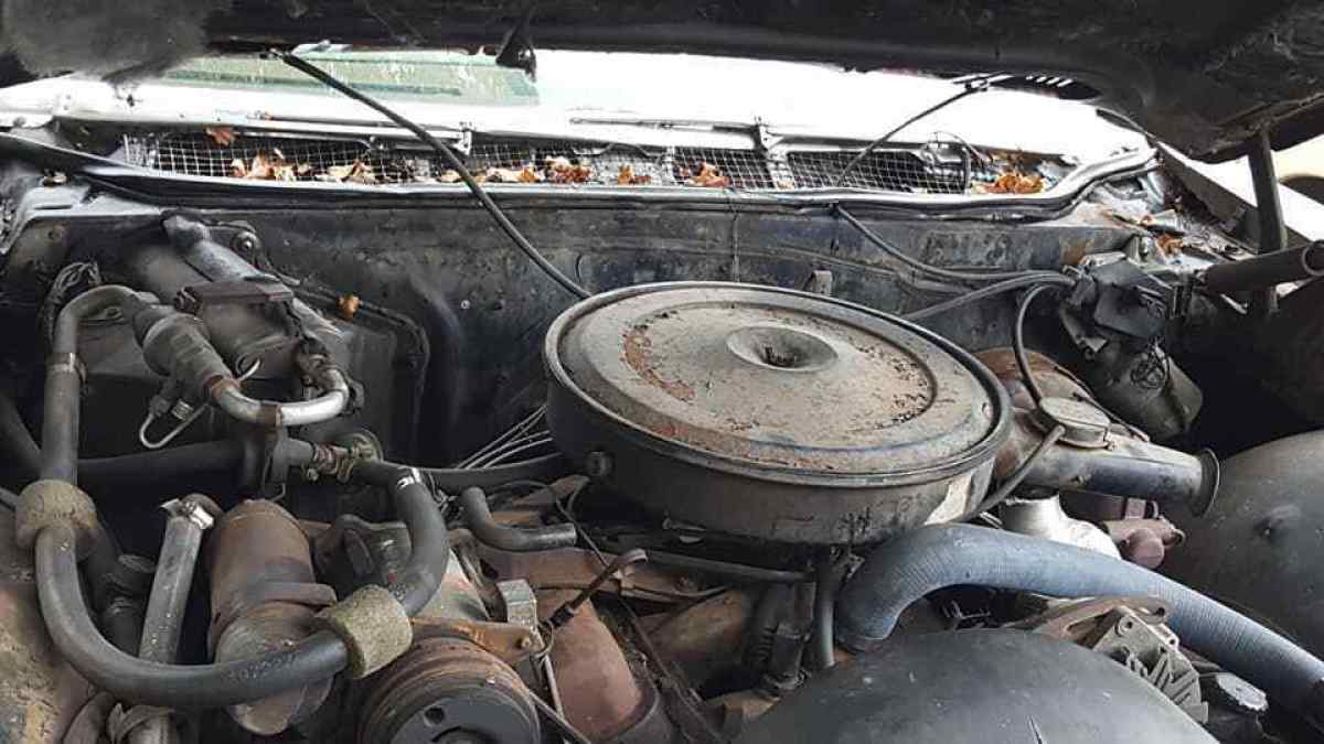 1969 Pontiac Bonneville - photo 10