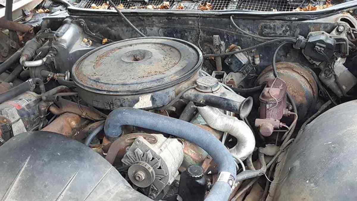 1969 Pontiac Bonneville - photo 9