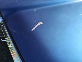 1969 Pontiac Catalina - photo 13
