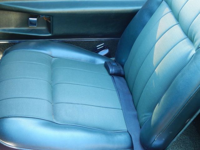 1969 Pontiac Firebird HO - photo 9