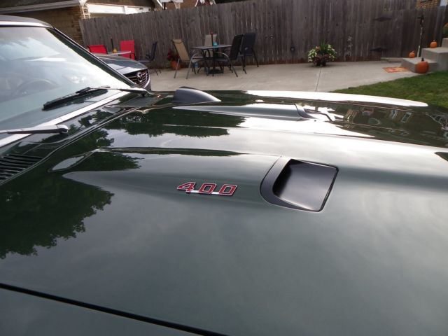 1969 Pontiac Firebird - photo 6