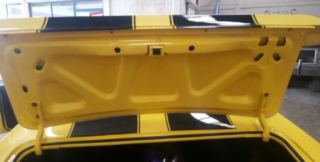 1969 Pontiac Firebird - photo 10