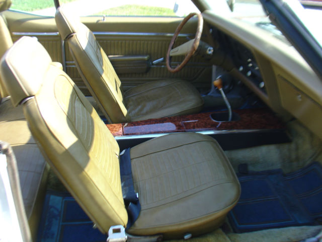 1969 Pontiac Firebird Firebird - photo 10
