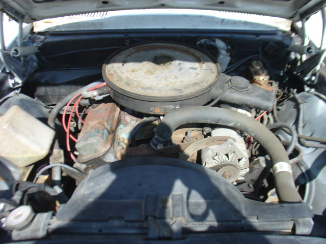 1969 Pontiac Firebird Firebird - photo 13