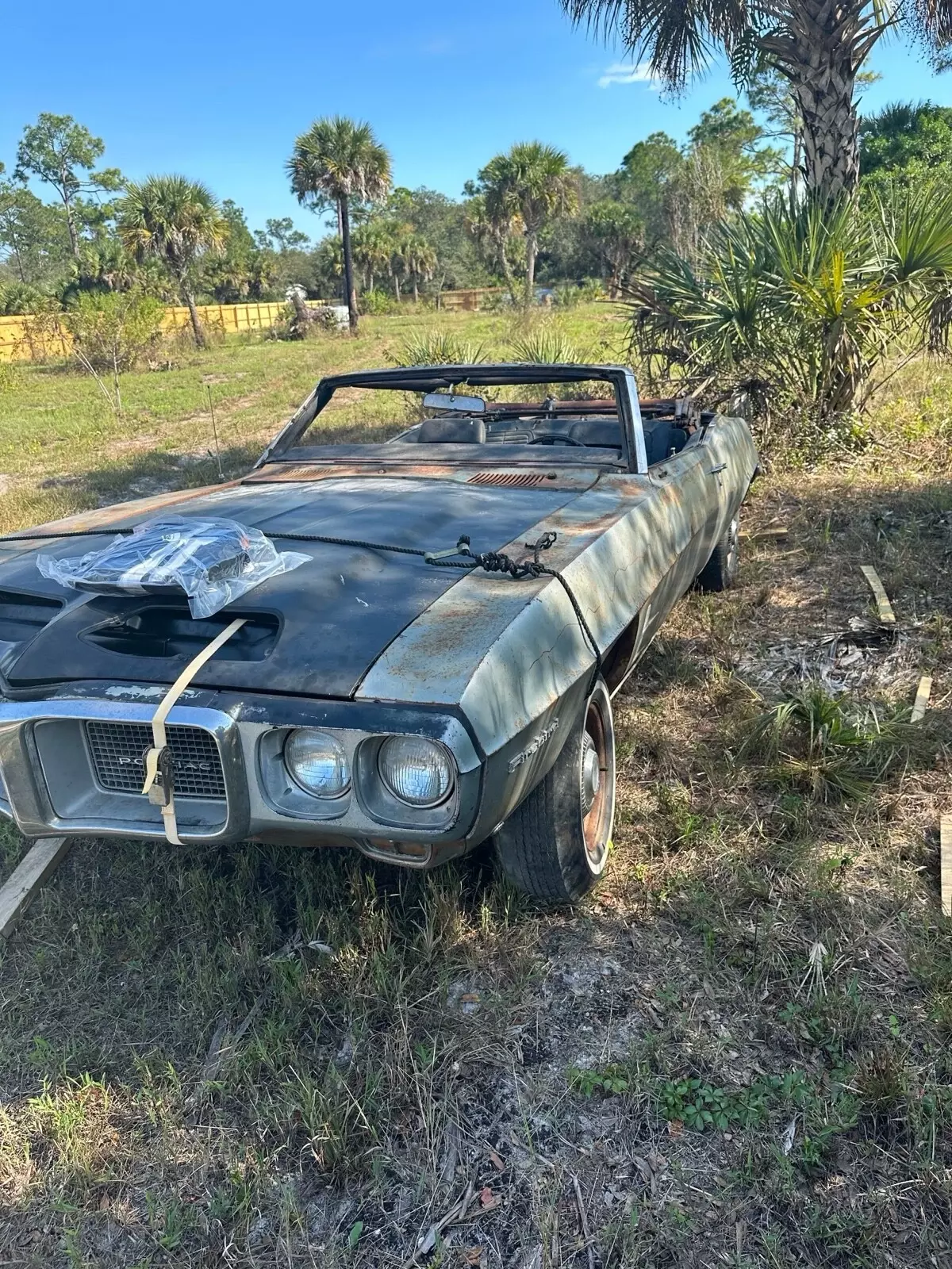 1969 Pontiac Firebird - photo 5