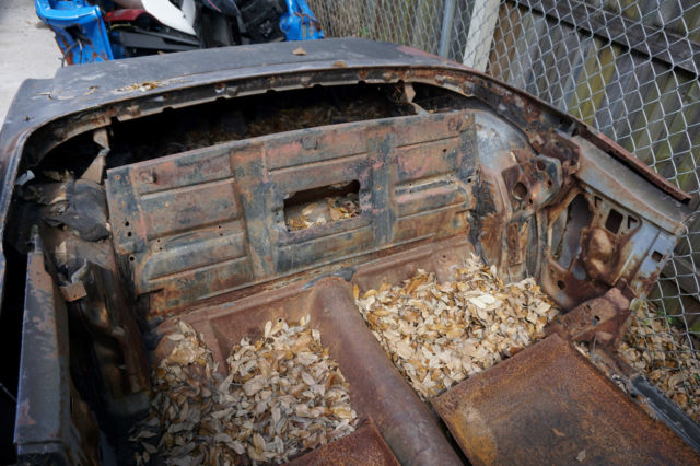 1969 Pontiac Firebird - photo 3