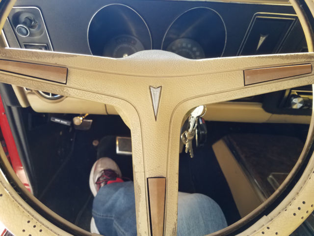 1969 Pontiac Firebird COUPE - photo 11
