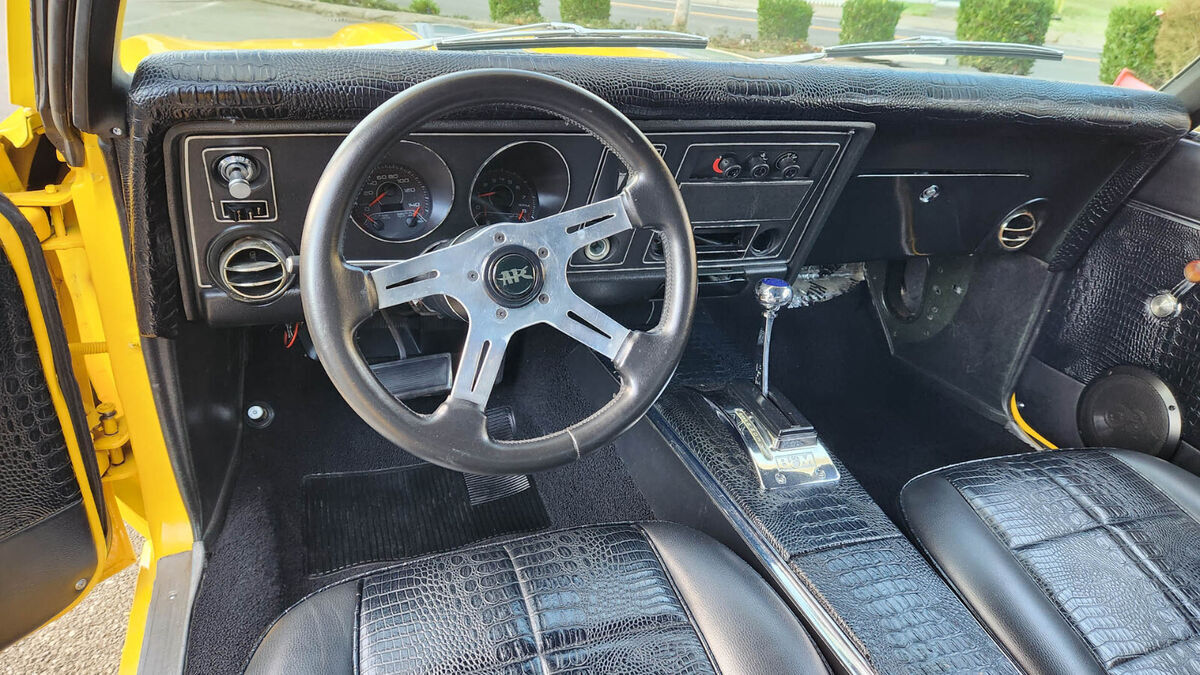 1969 Pontiac Firebird Trans Am Tribute LS2 Resto-Mod - photo 11